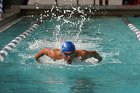 Swimming vs Babson  Wheaton College Swimming vs Babson College. - Photo By: KEITH NORDSTROM : Wheaton, Swimming, Babson